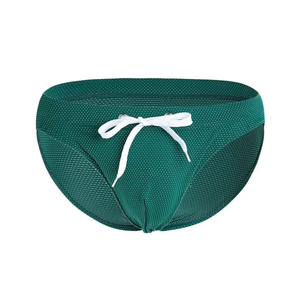 William Swim Brief
