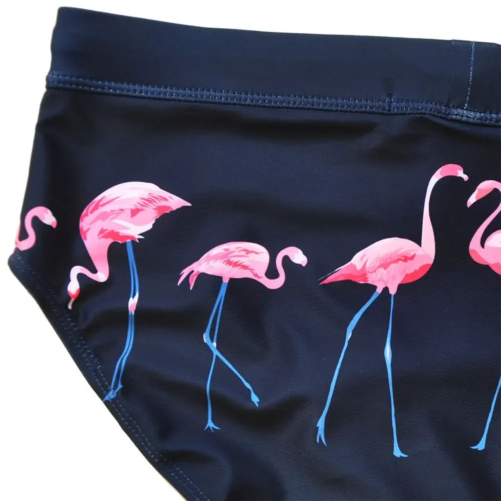 Flaming Flamingo Swimwear Briefs