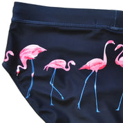 Flaming Flamingo Swimwear Briefs