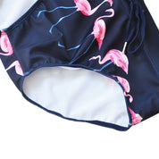 Flaming Flamingo Swimwear Briefs